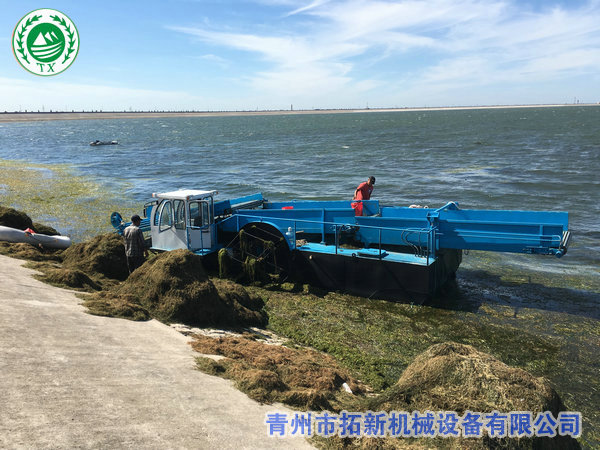 銷往廣東水葫蘆打撈船